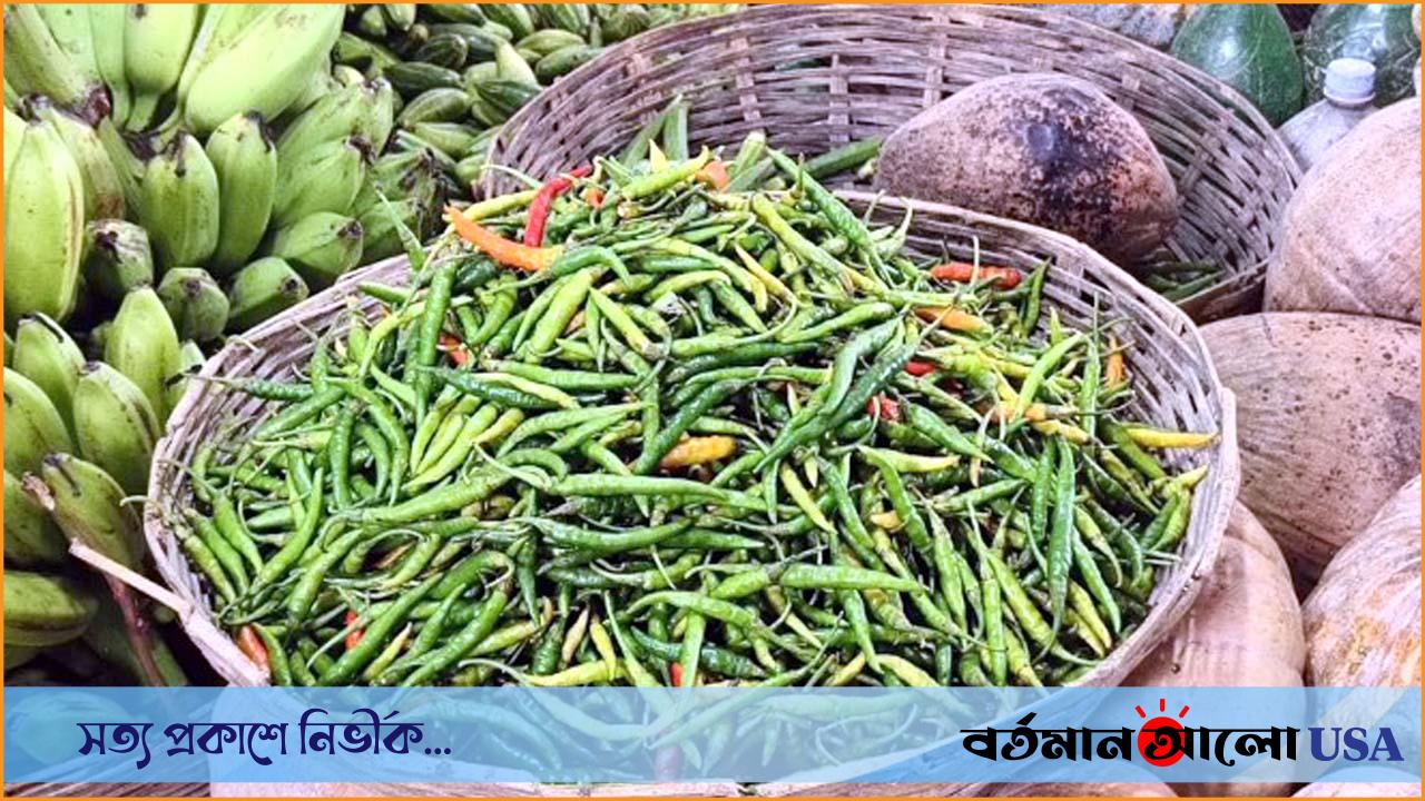 এক রাতের ব্যবধানে কাঁচা মরিচের দাম ২০০ টাকা বৃদ্ধি